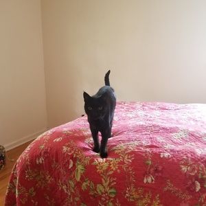 Meet your Posher, Greg